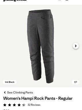 Patagonia Women's Hampi Rock Climbing Pants (XS)